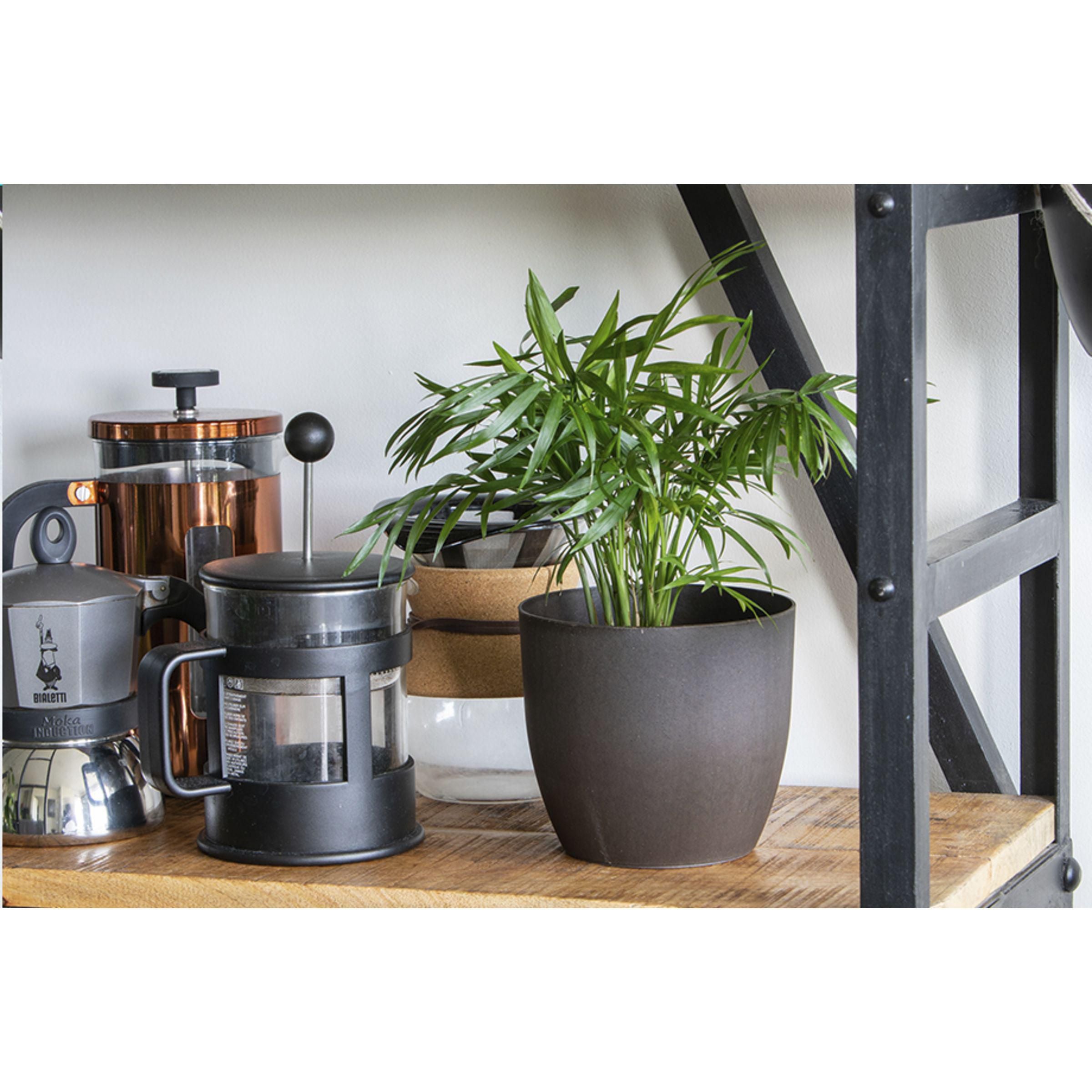 Coffee Flowerpot