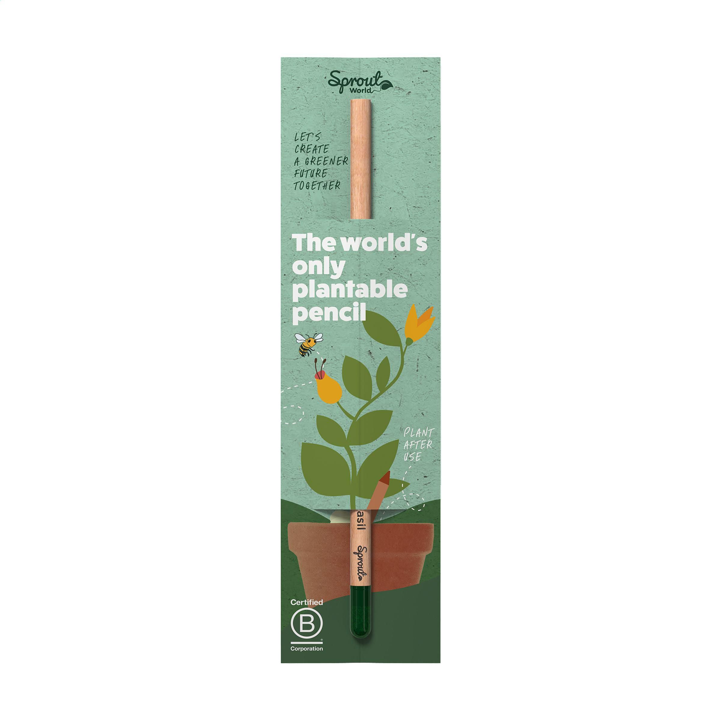 Single Header Card For Sproutworld Pencil