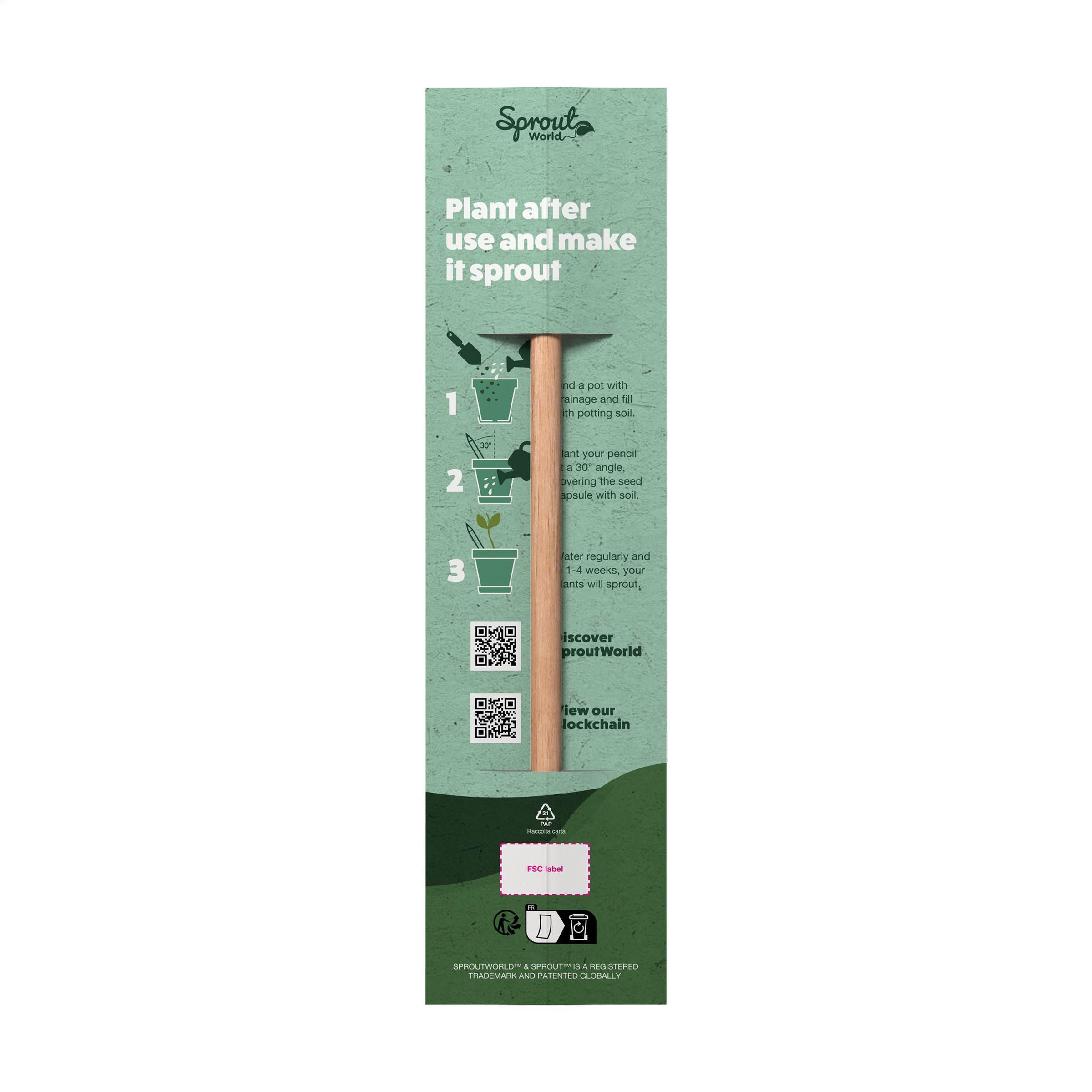 Single Header Card For Sproutworld Pencil