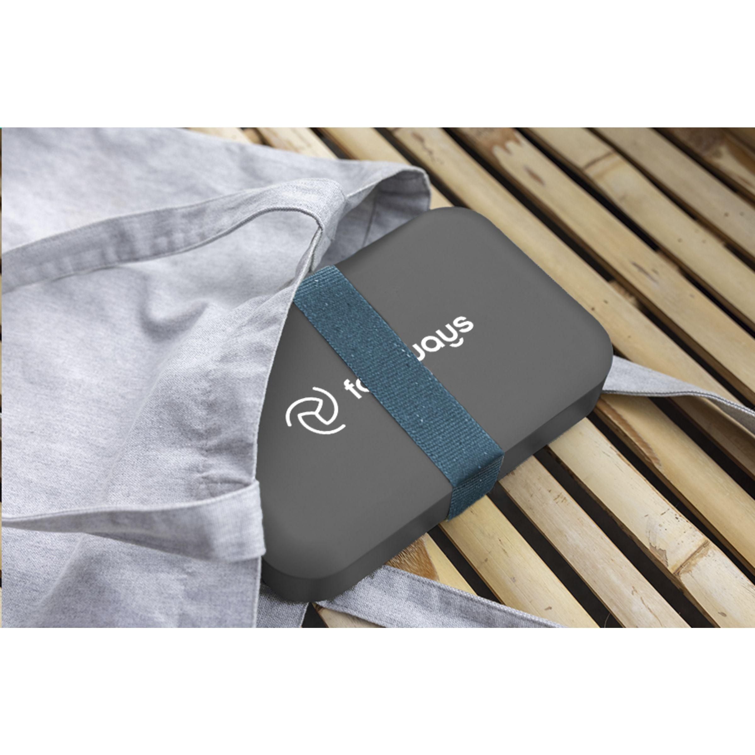 Amuse Recycled Pp Lunch Box