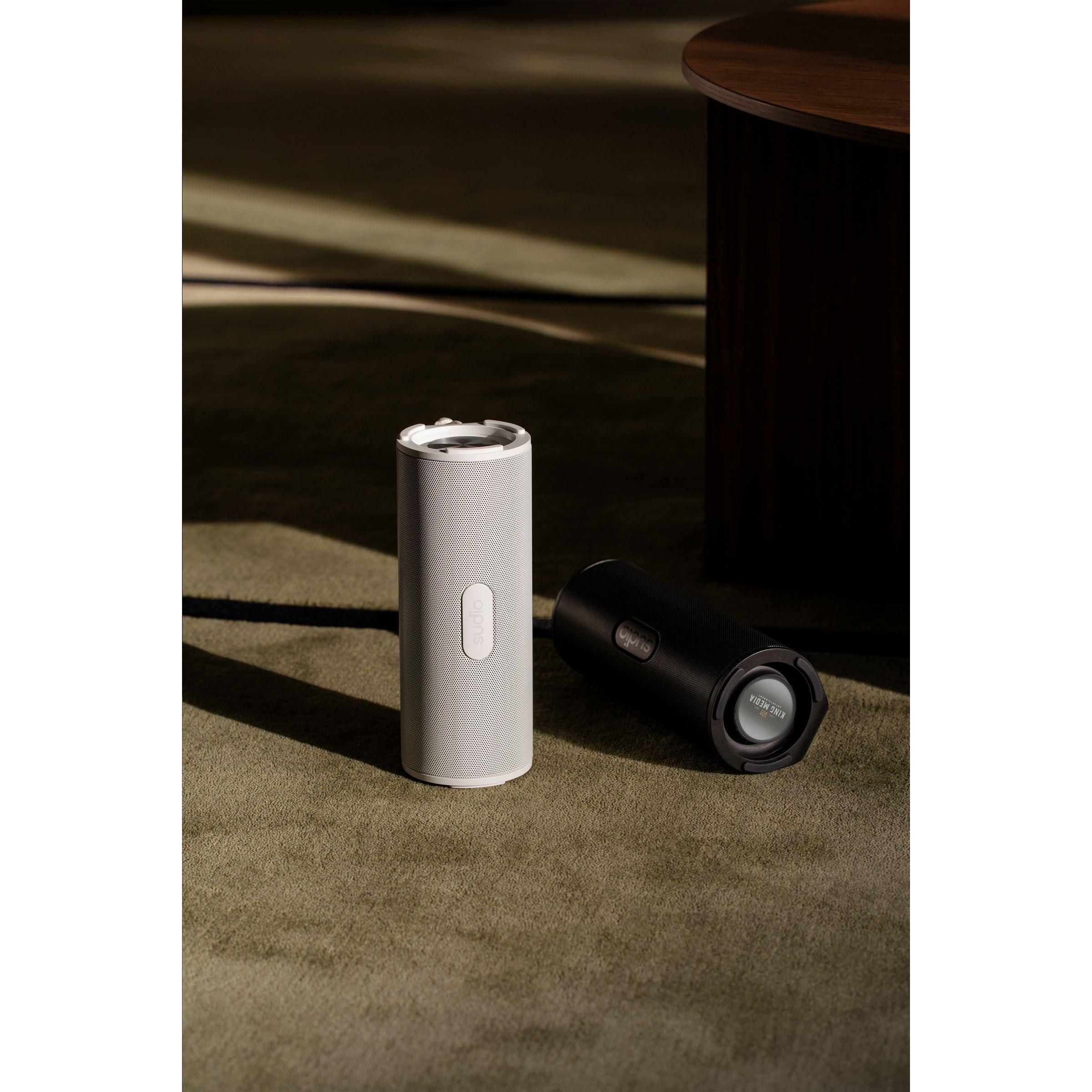 Sudio Bluetooth Speaker F4