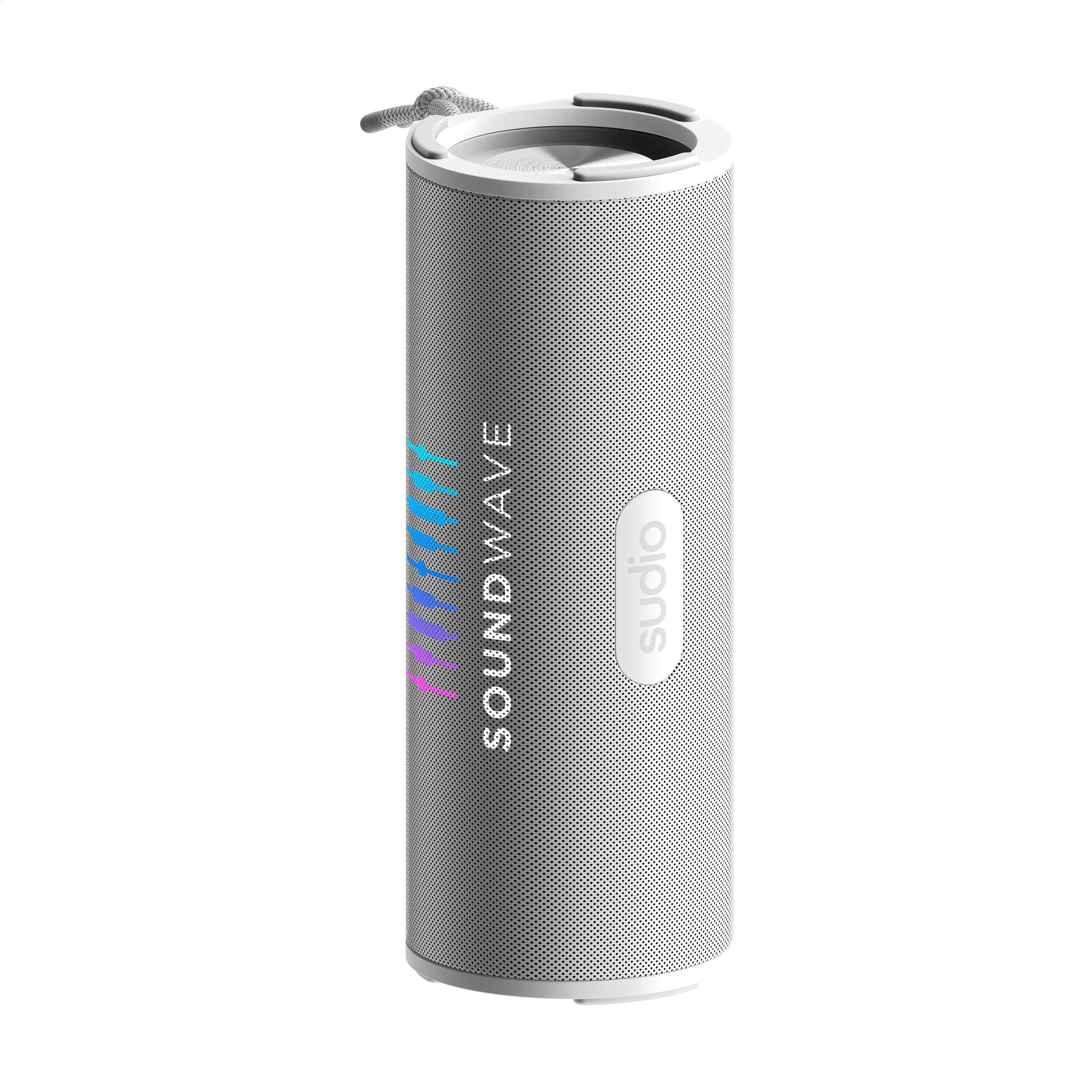 Sudio Bluetooth Speaker F4