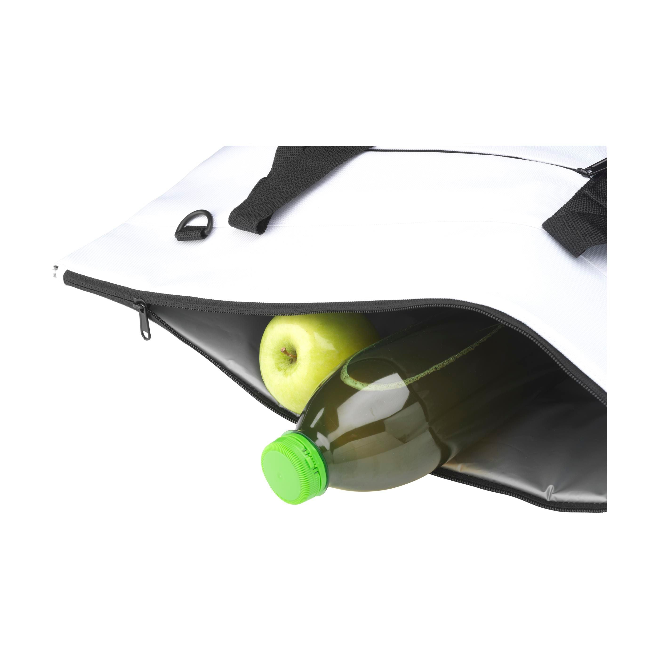 Alpina Grs Recycled Cooler Bag