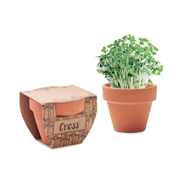 Terracotta Pot and Cress Seeds