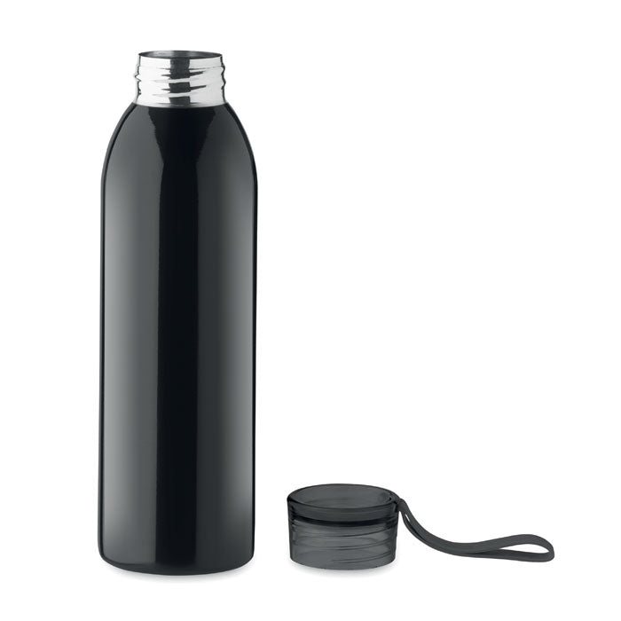 Stainless Steel Bottle
