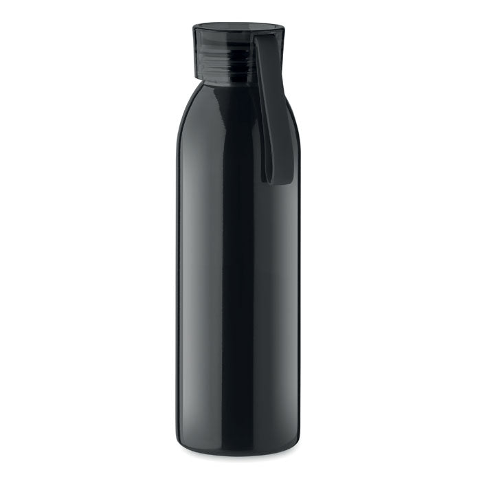 Stainless Steel Bottle
