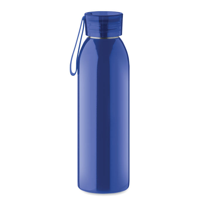 Stainless Steel Bottle