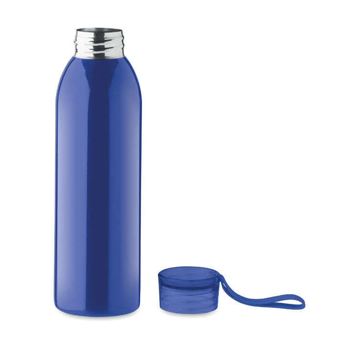Stainless Steel Bottle