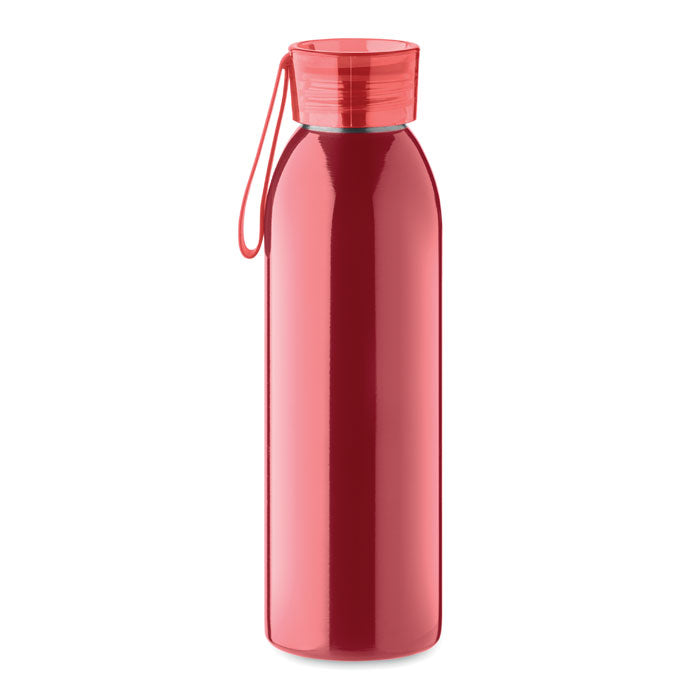 Stainless Steel Bottle
