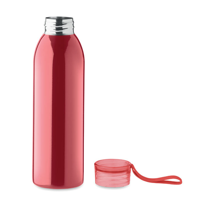 Stainless Steel Bottle
