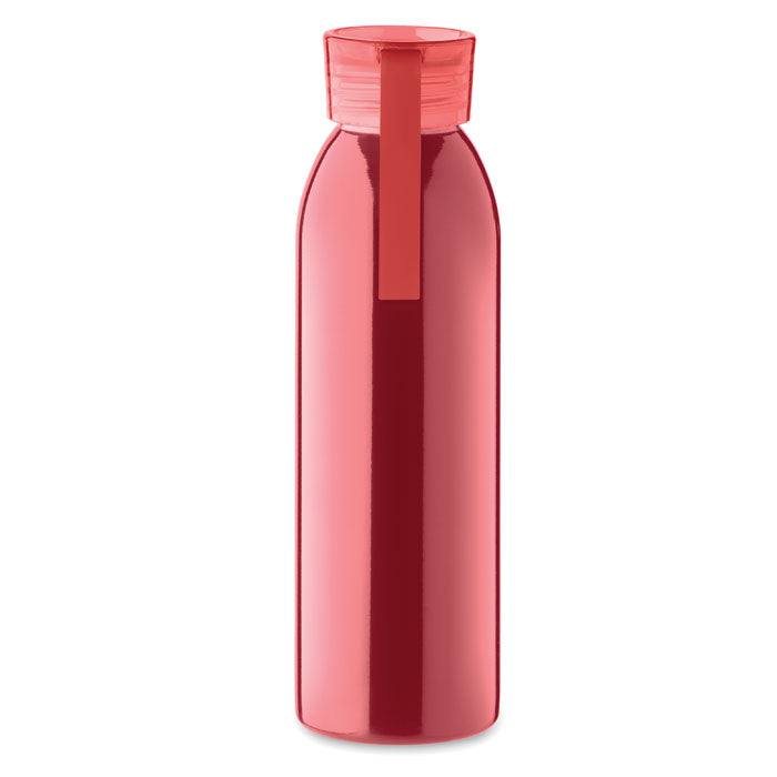 Stainless Steel Bottle
