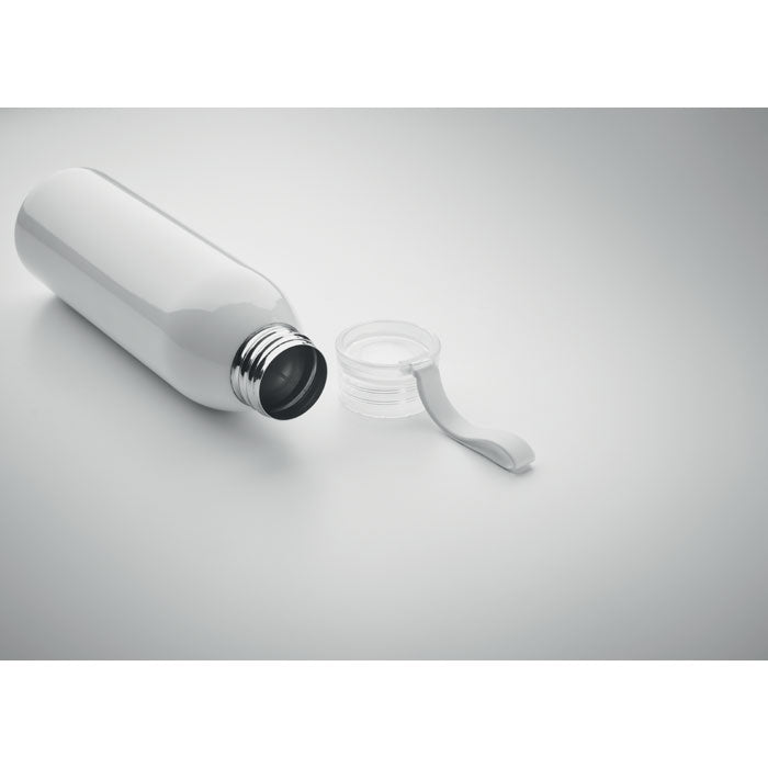 Stainless Steel Bottle