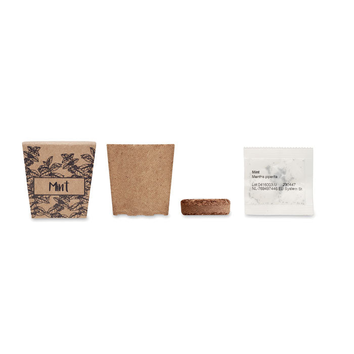 Mint Seeds Growing Kit