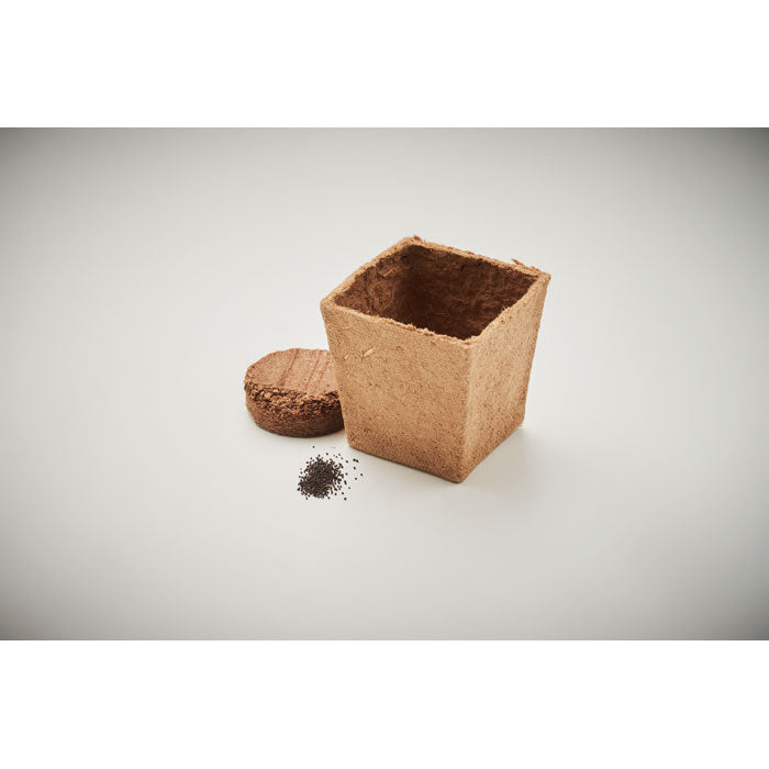 Mint Seeds Growing Kit