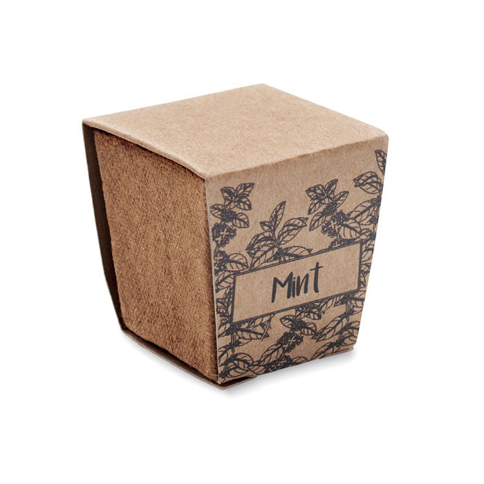 Mint Seeds Growing Kit