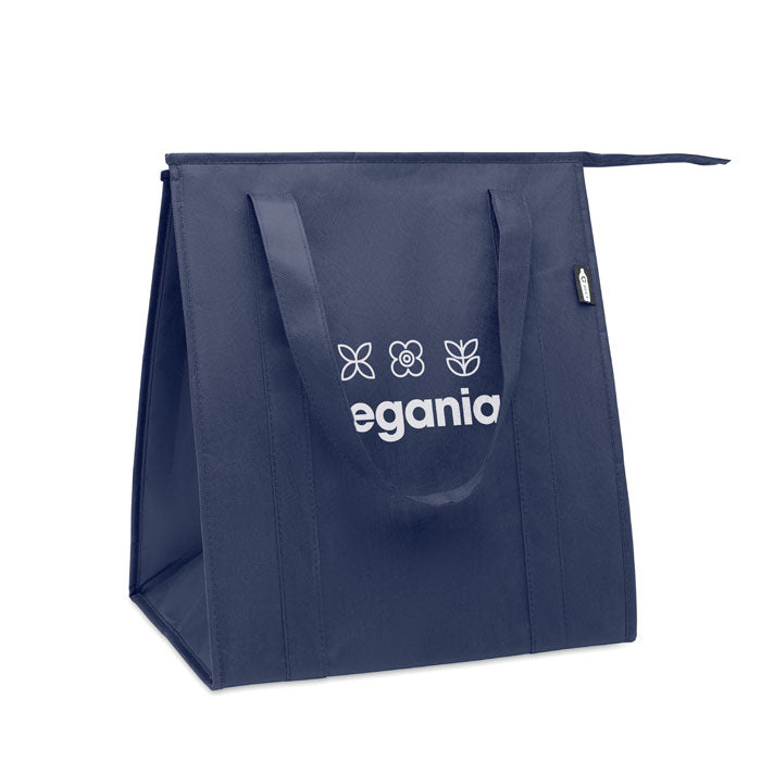 Non Woven Cooler Bag