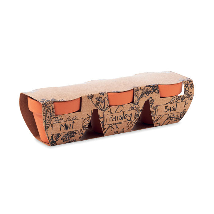 3 Herb Clay Terracotta Pot Set