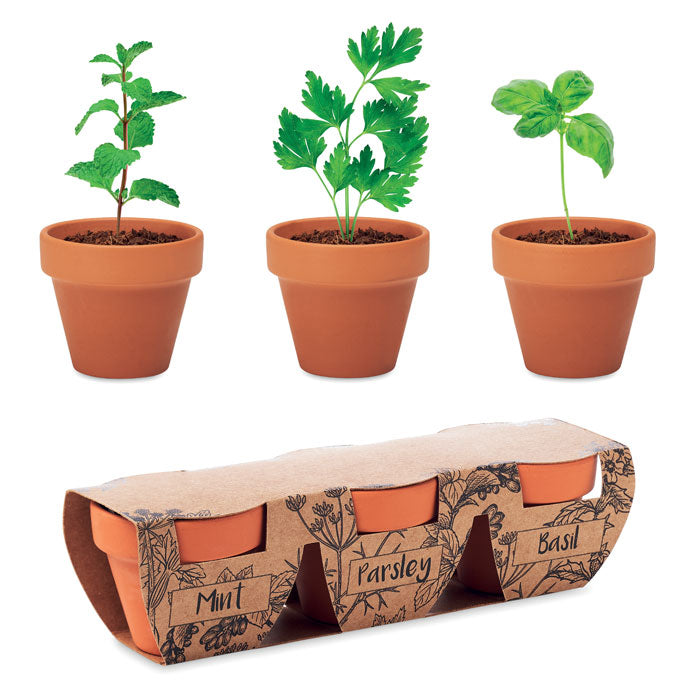 3 Herb Clay Terracotta Pot Set