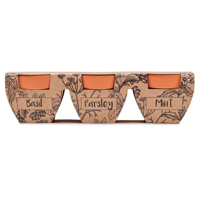 3 Herb Clay Terracotta Pot Set