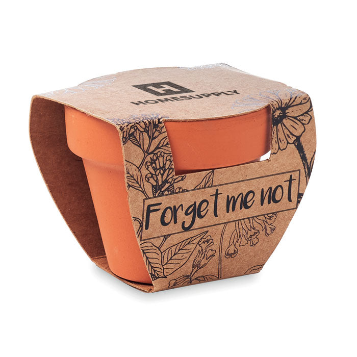 Terracotta Pot and Forget-Me-Not Seeds