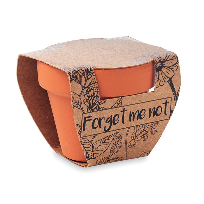 Terracotta Pot and Forget-Me-Not Seeds