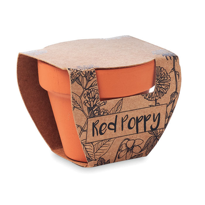 Terracotta Pot and Poppy Seeds