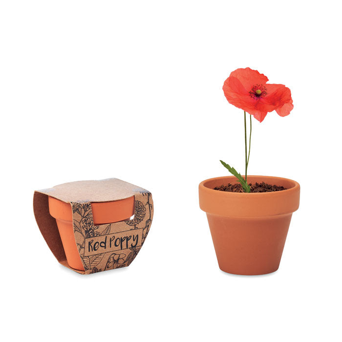 Terracotta Pot and Poppy Seeds