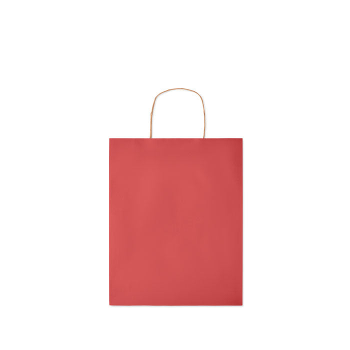 Medium Paper Gift Bag