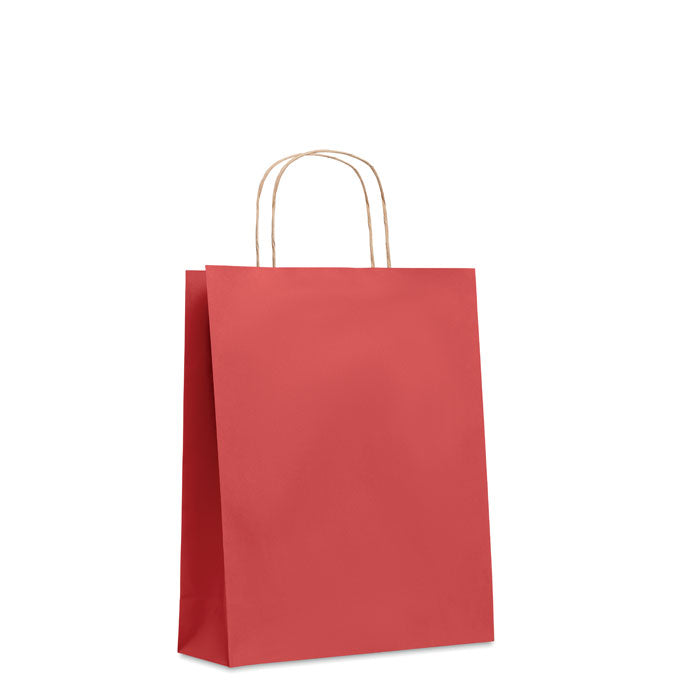 Medium Paper Gift Bag