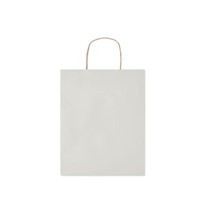 Medium Paper Gift Bag