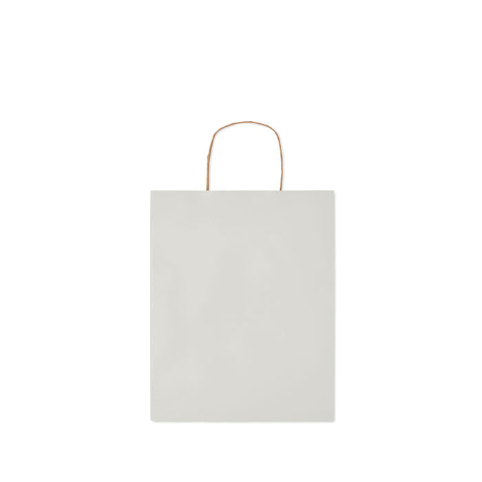 Medium Paper Gift Bag