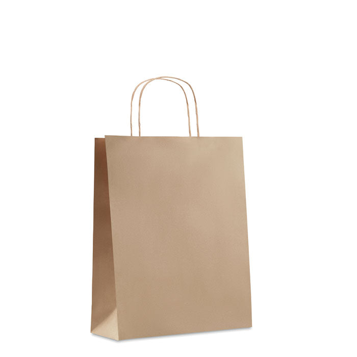 Medium Gift Bag in Paper