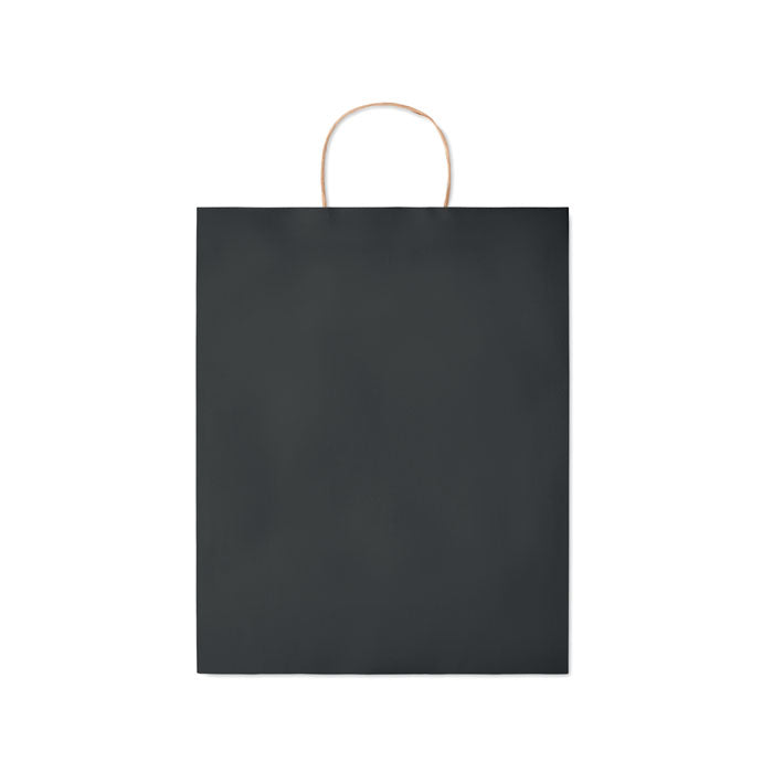 Large Gift Bag in Paper