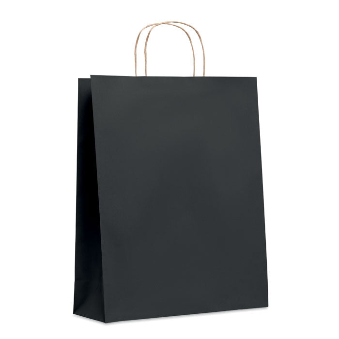 Large Gift Bag in Paper
