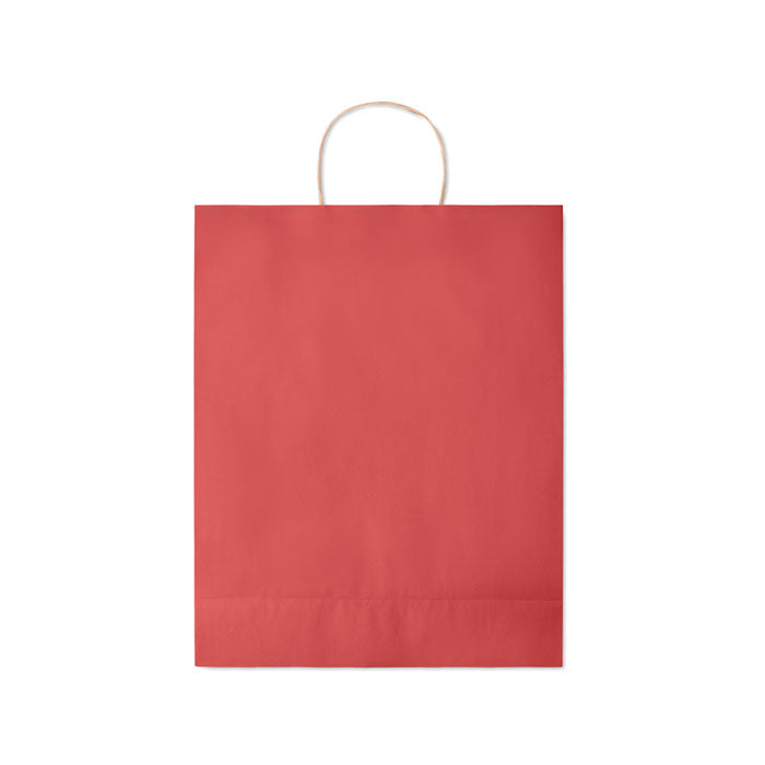 Large Gift Bag in Paper