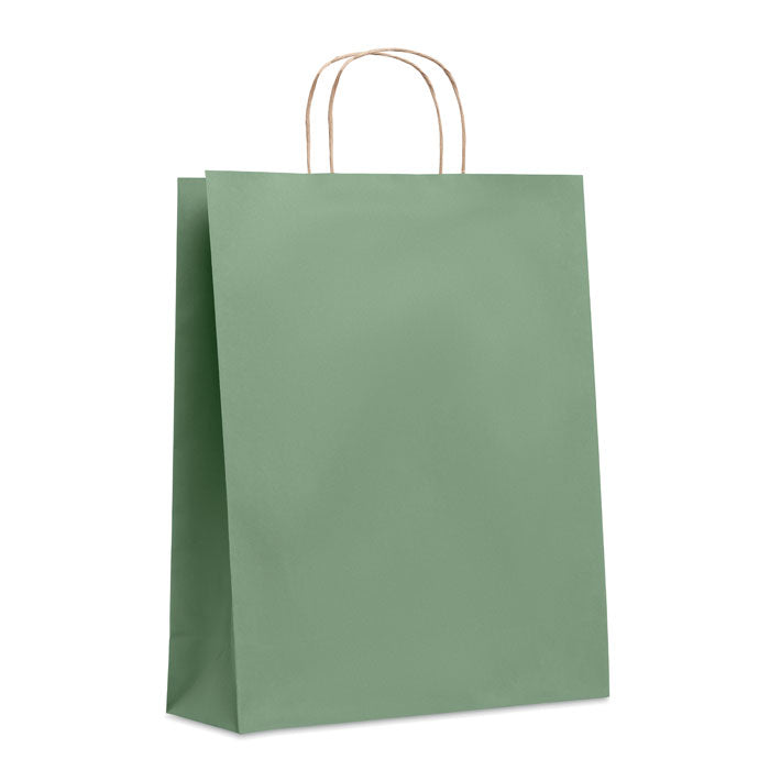 Large Gift Bag in Paper
