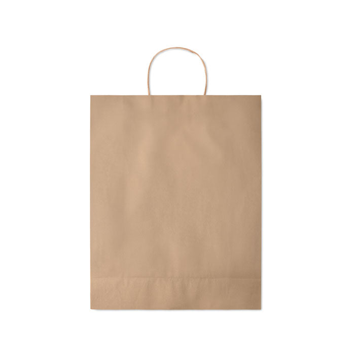 Large Gift Bag in Paper