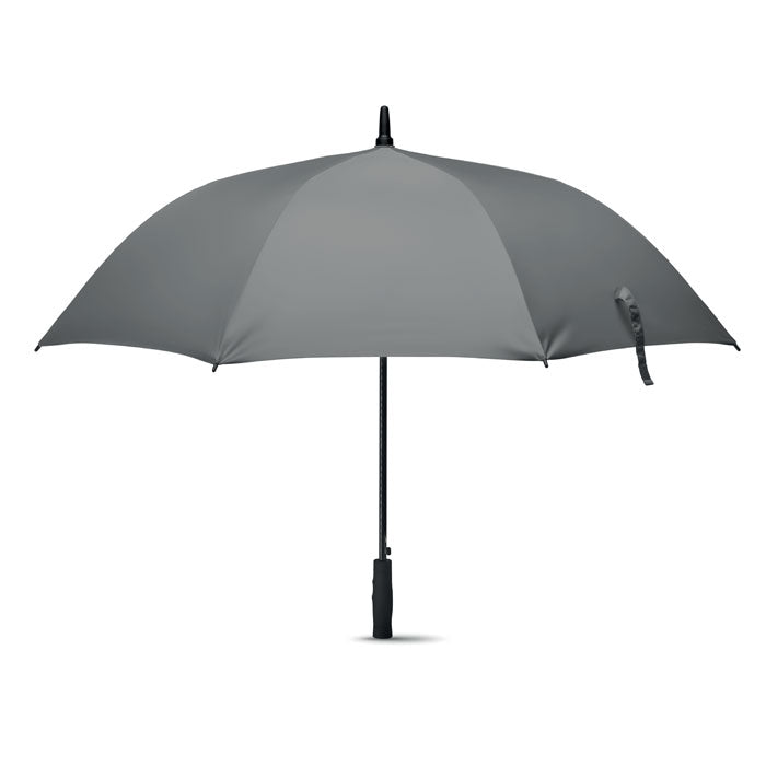 Windproof Auto Open Umbrella