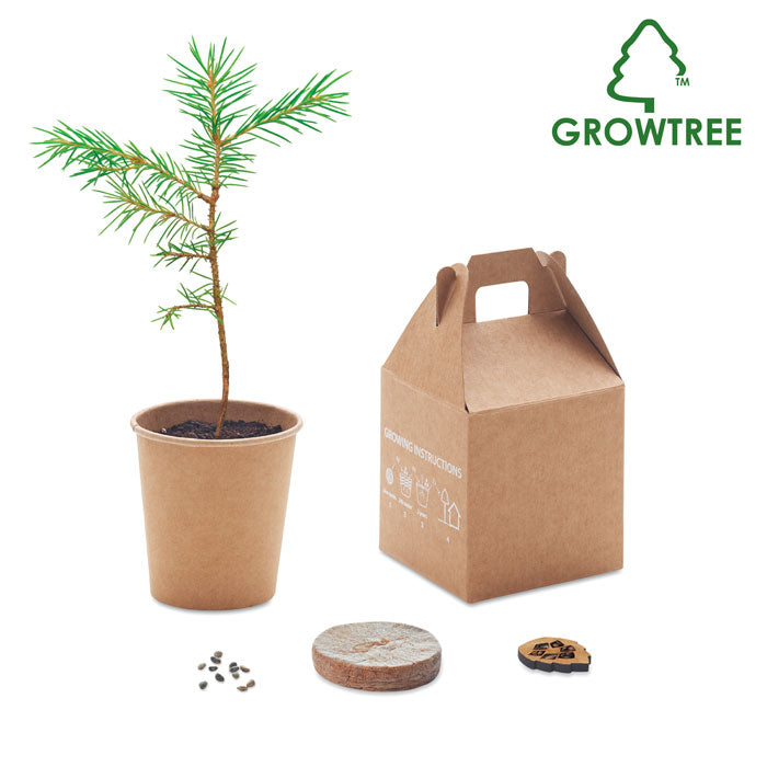 Pine Tree Set with Seeds