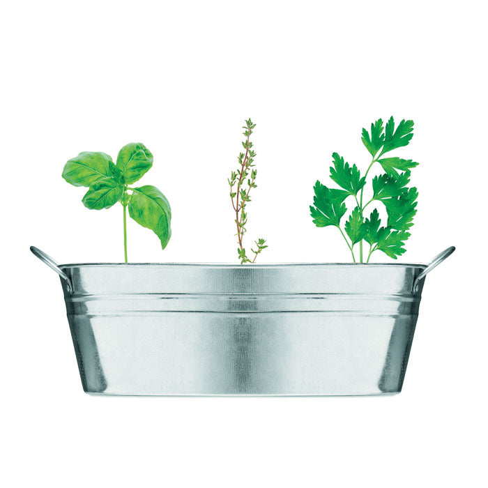 Plant Tub with Herb Seeds and Compost