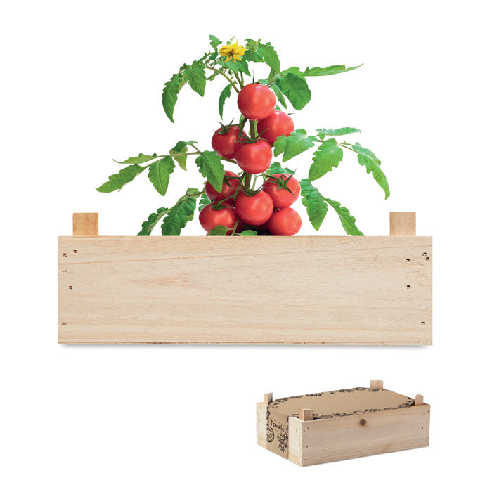 Tomato Growing Kit in Wooden Crate
