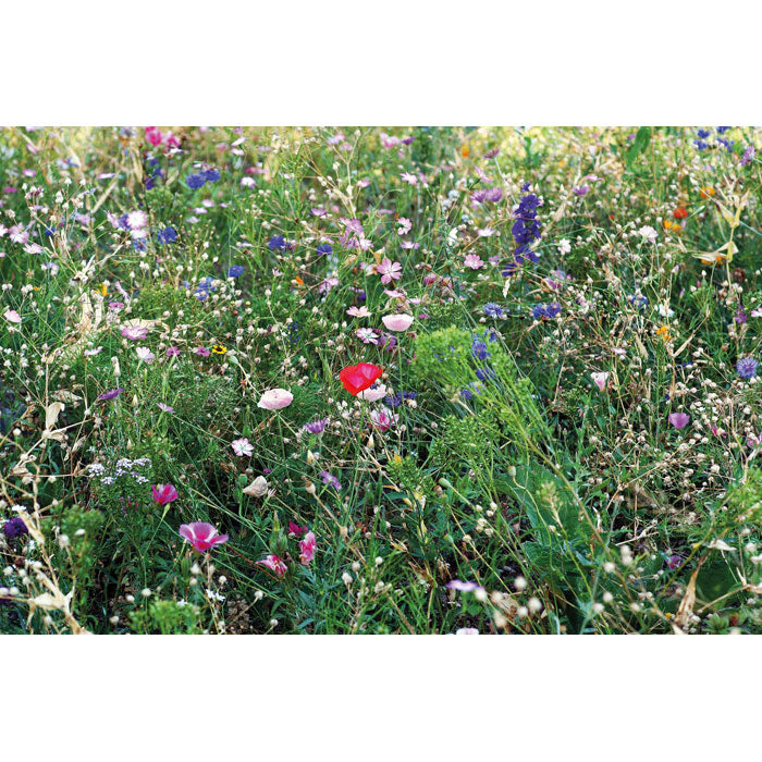 Mixed Seeds in Envelope