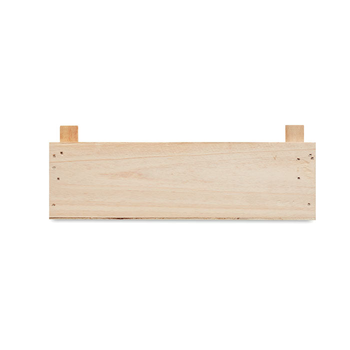 Strawberry Growing Kit in Wooden Crate
