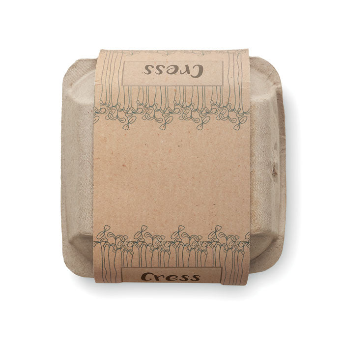Egg Carton Growing Kit