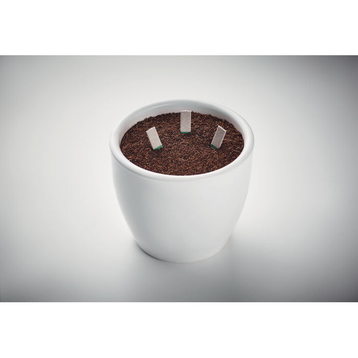 Herb Variety Seed Sticks