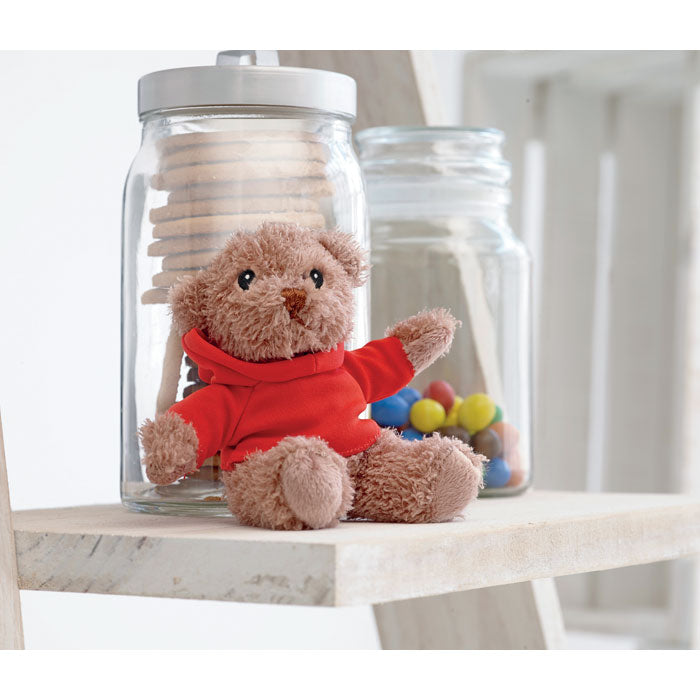 Teddy Bear with Hoodie