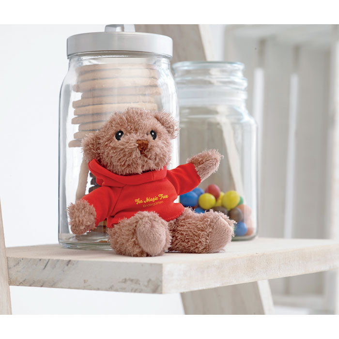 Teddy Bear with Hoodie