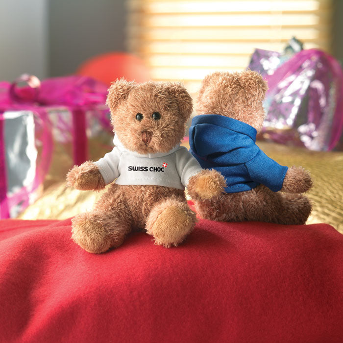 Teddy Bear with Hoodie