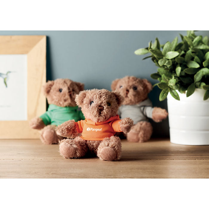 Teddy Bear with Hoodie