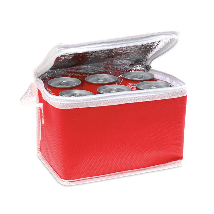Non Woven Can Cooler Bag